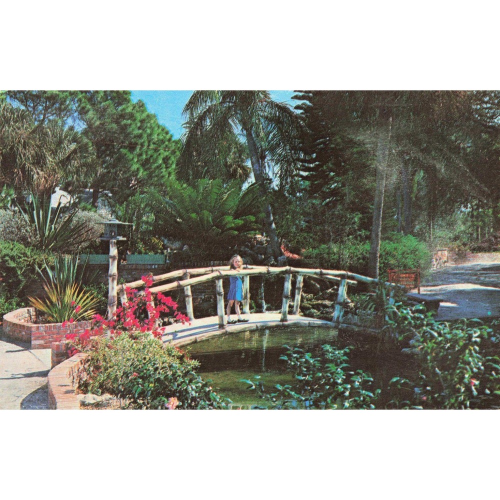 Vintage 1966 Sarasota Jungle Gardens Florida Concrete Bamboo Bridge Postcard VG - Picture 1 of 2